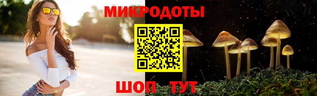 Галлюциногенные грибы GOLDEN TEACHER Павловский Посад